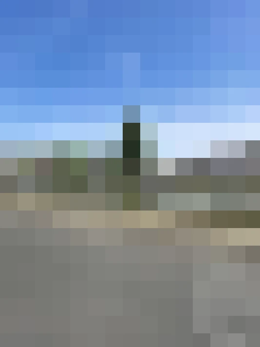  / #15
