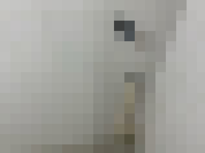  / #16