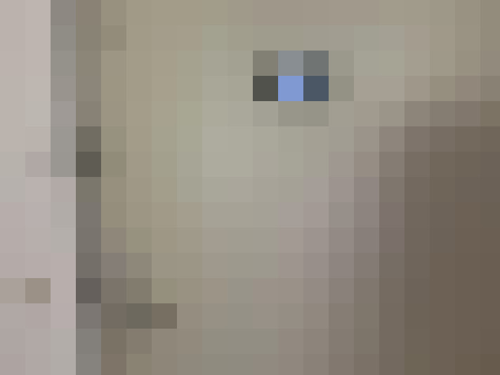  / #19