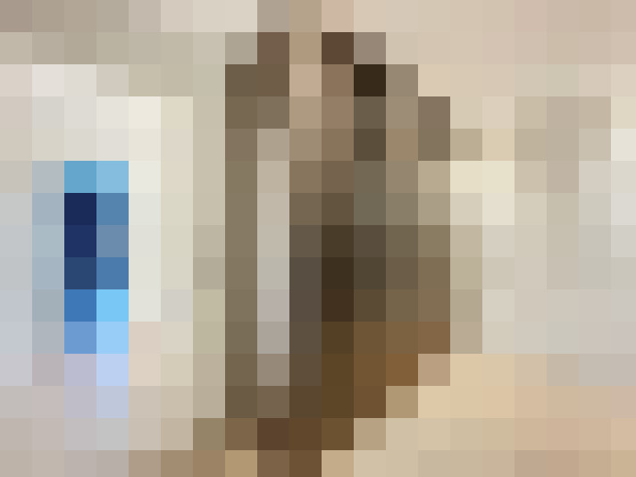 / #12