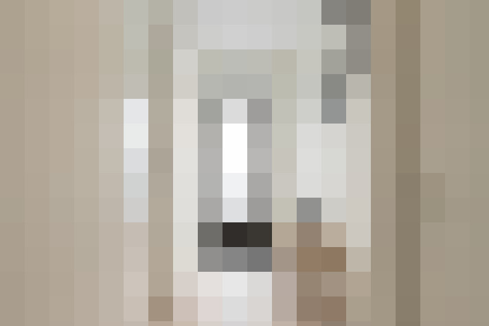  / #6