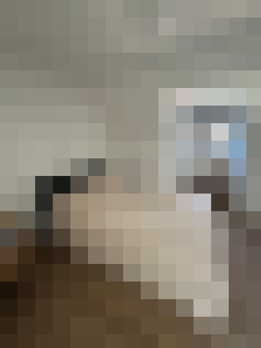  / #19
