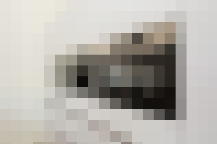  / #19