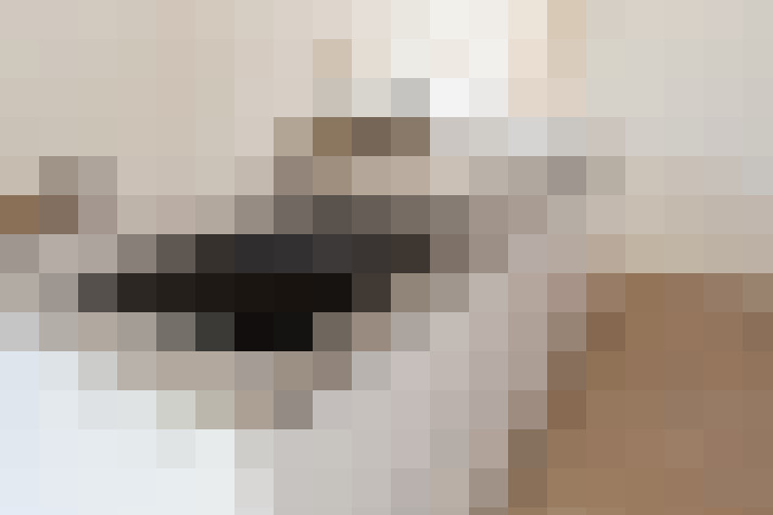  / #17