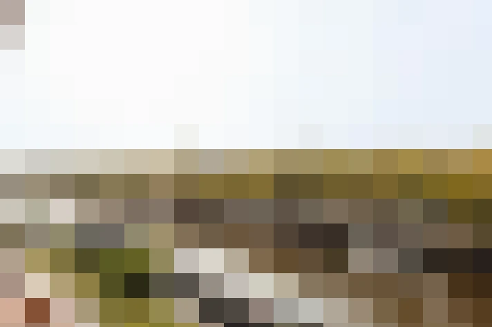  / #18