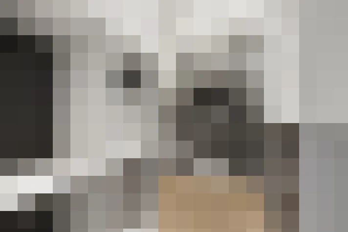  / #17