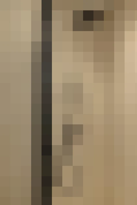  / #21