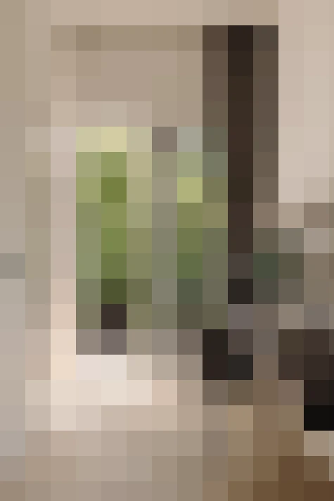 / #13