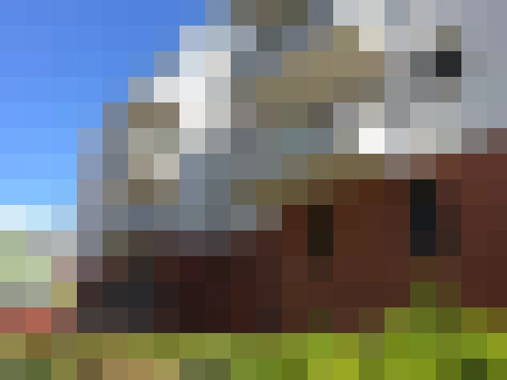  / #8