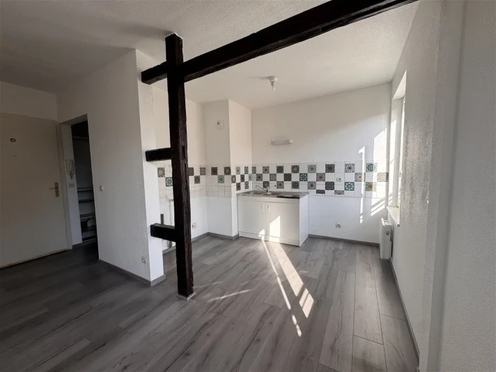 Voir la photo 1/6 du type apartment à Strasbourg