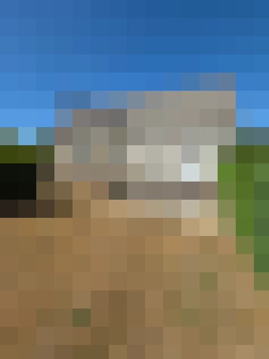  / #5