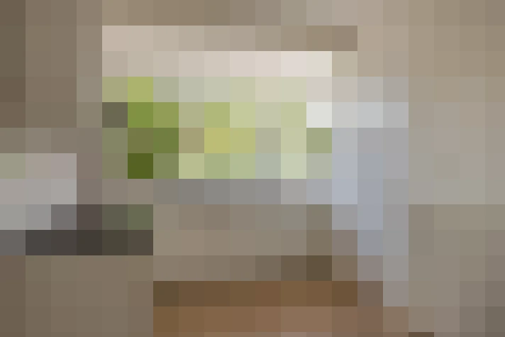  / #17