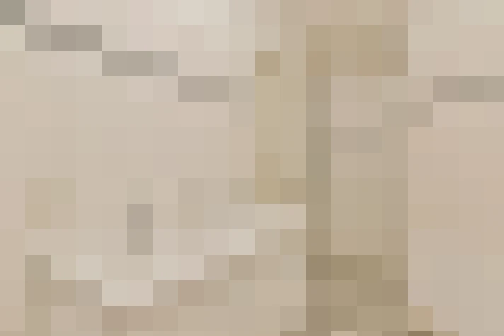  / #17