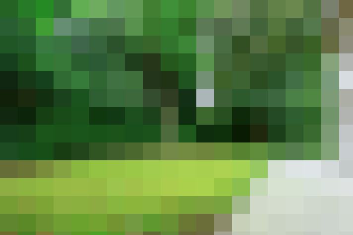  / #6