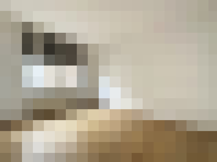  / #15