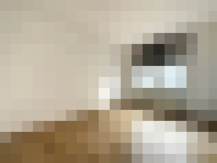  / #14