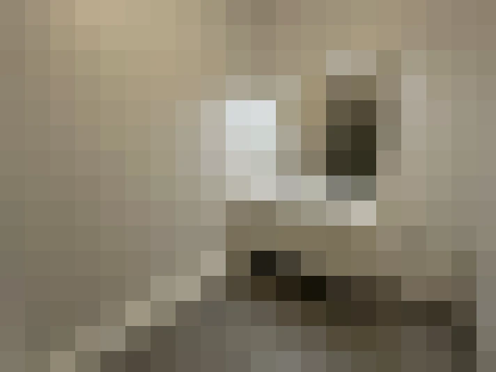  / #7