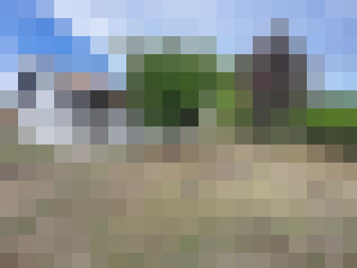 / #14