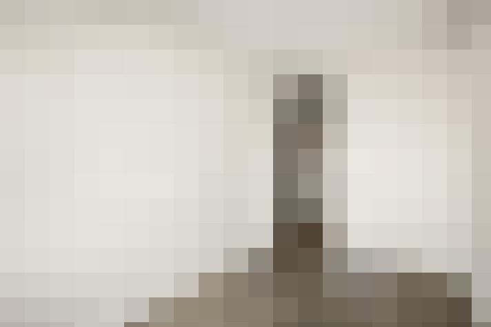  / #22