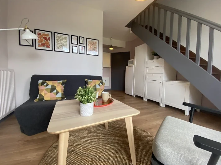 Voir la photo 1/14 du type apartment à Joué-lès-Tours
