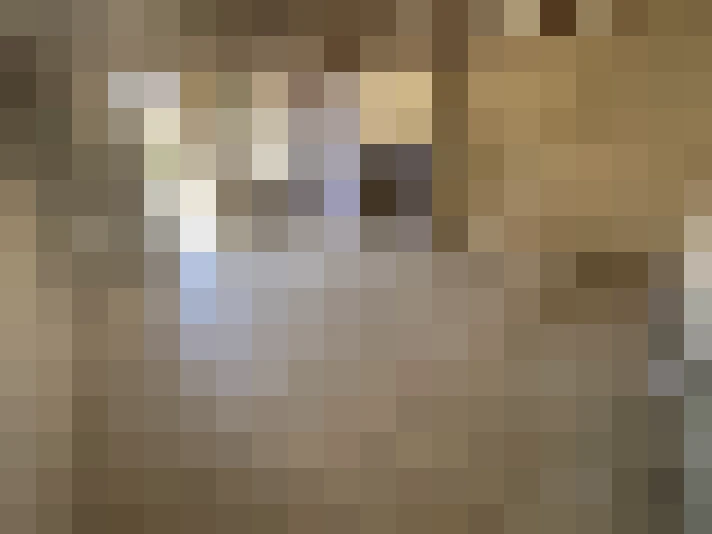  / #9