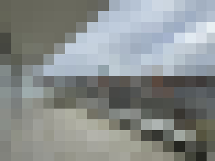  / #19