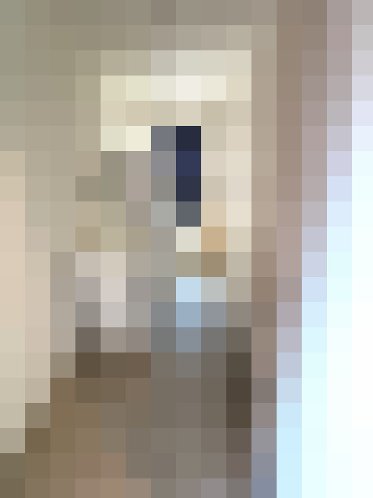  / #17