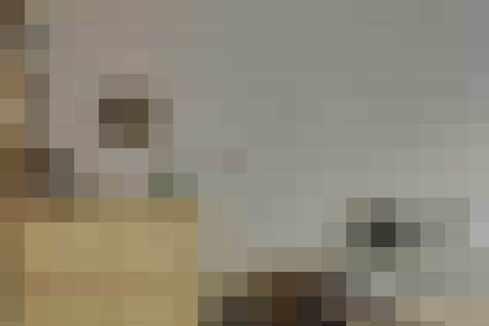  / #8