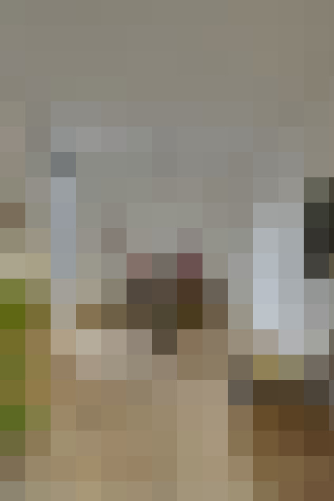  / #16