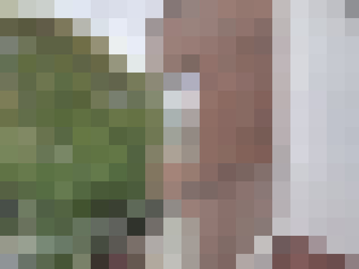  / #13