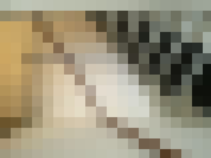  / #15