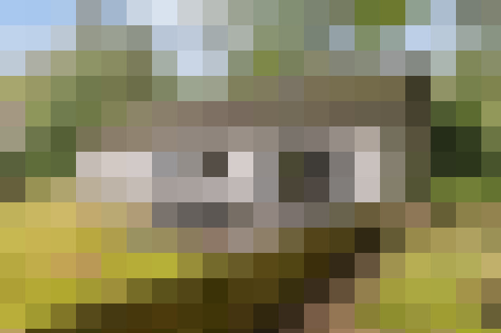  / #13