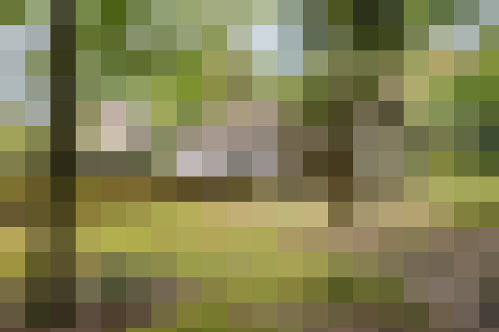  / #14