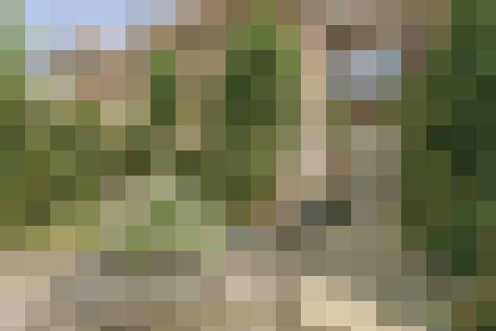  / #18