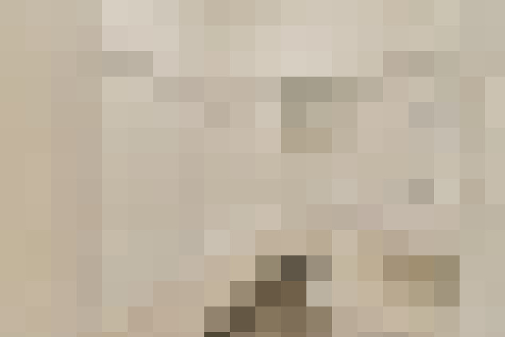  / #17