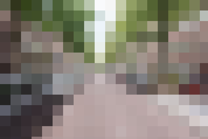 / #15