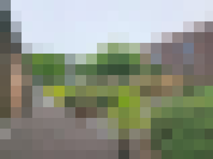  / #15