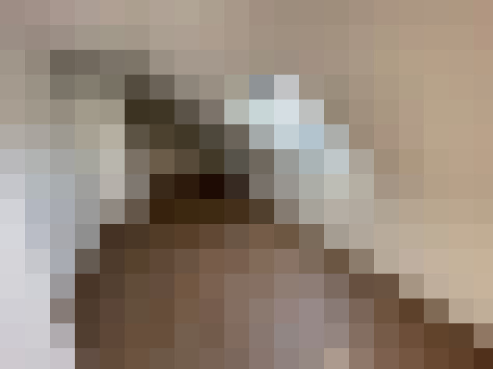  / #11