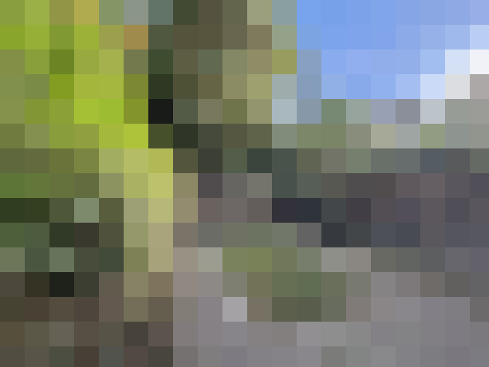  / #7