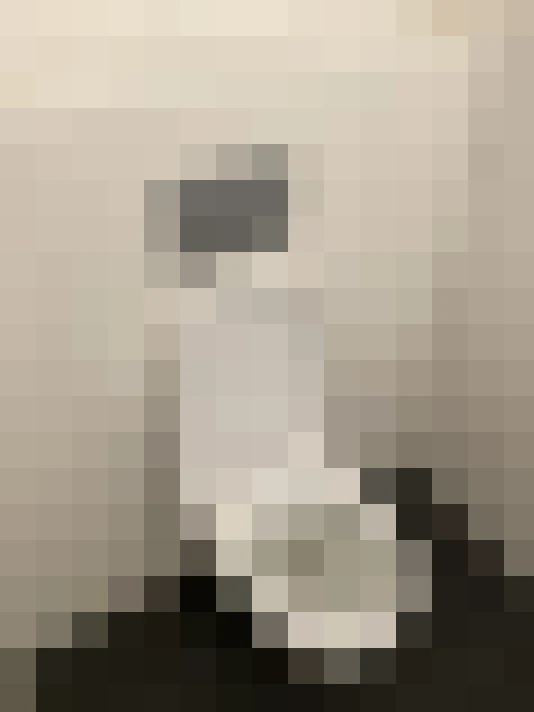  / #8