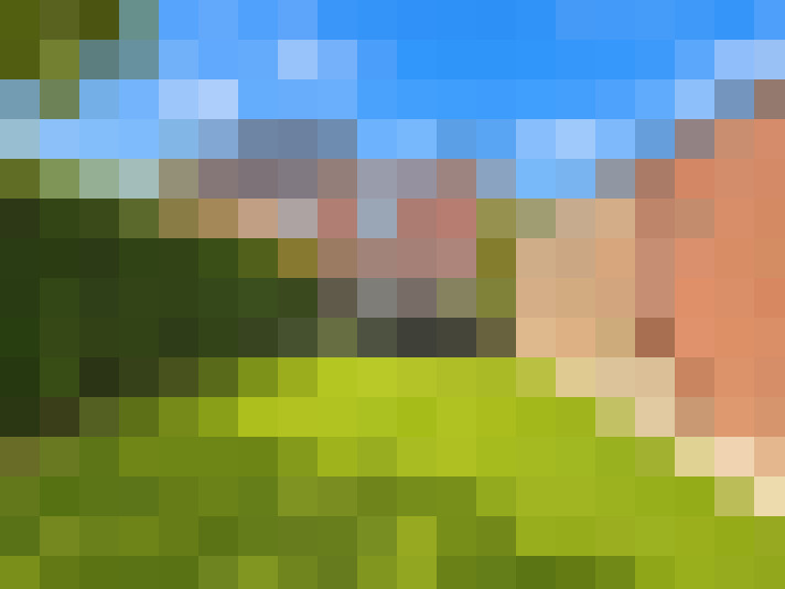  / #15