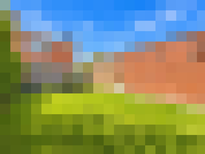  / #16