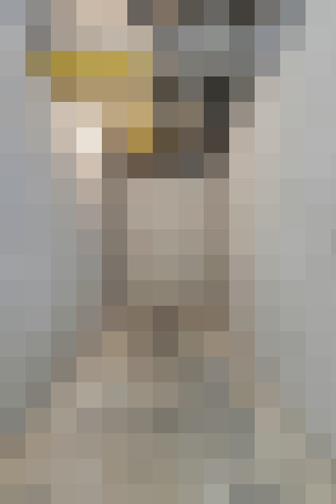  / #14