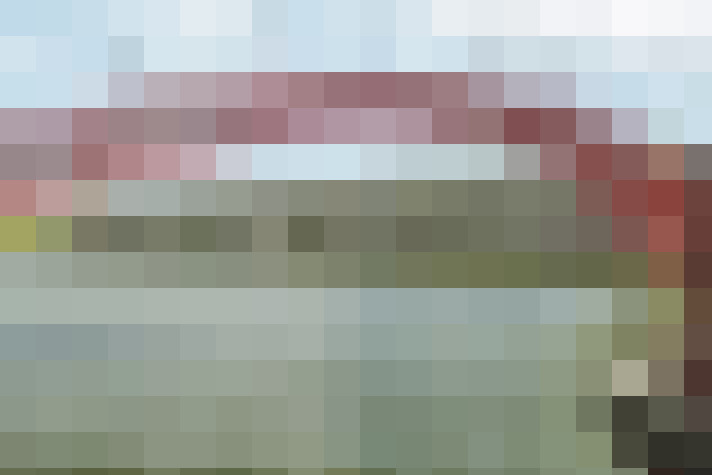  / #19