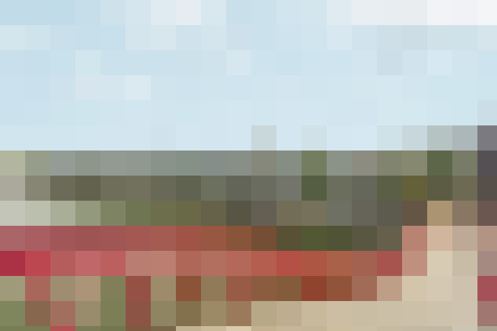  / #20