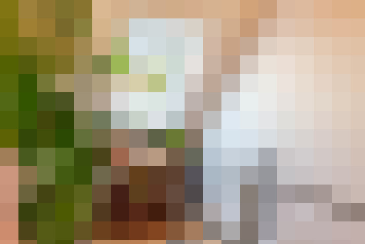  / #15