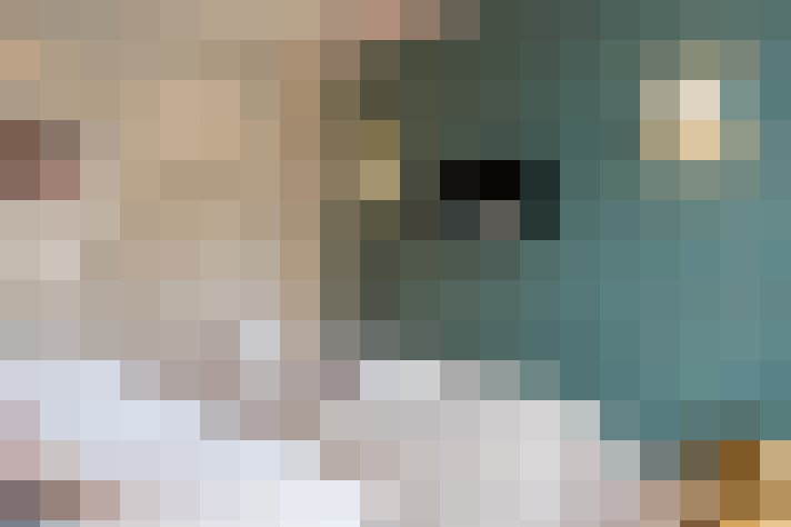  / #13