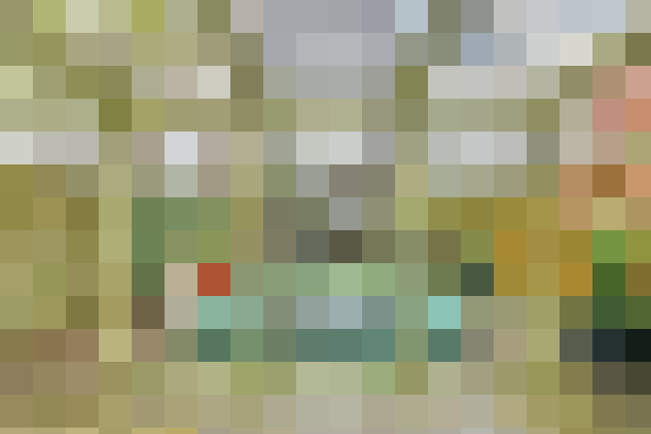  / #15