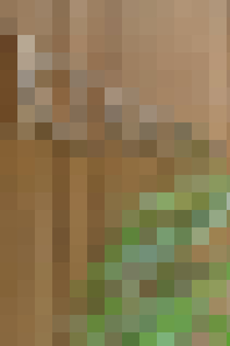  / #8
