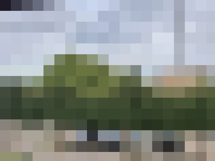  / #17